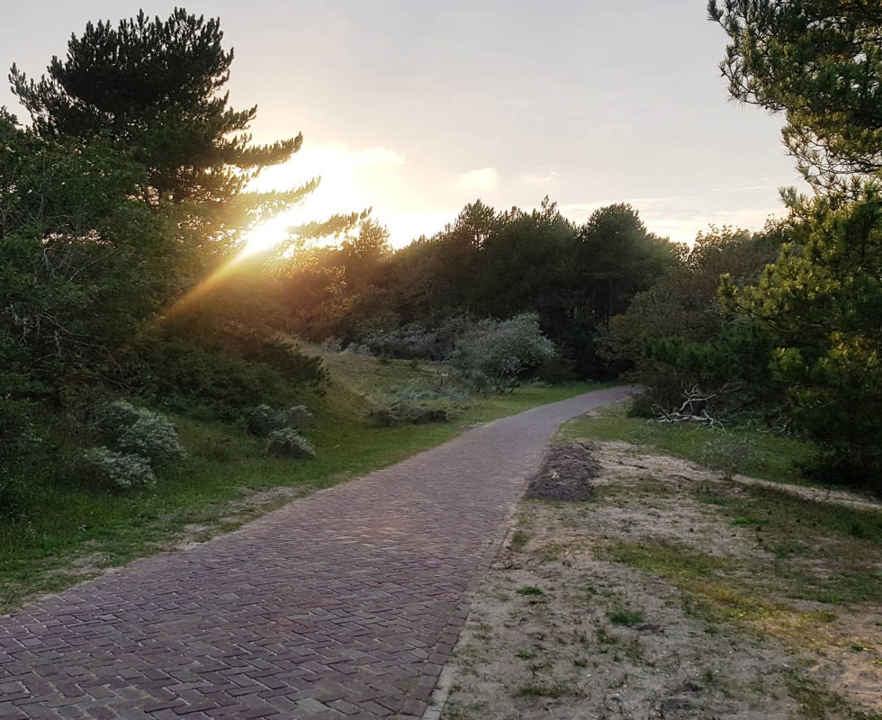 Fietsroute duingebied.jpg