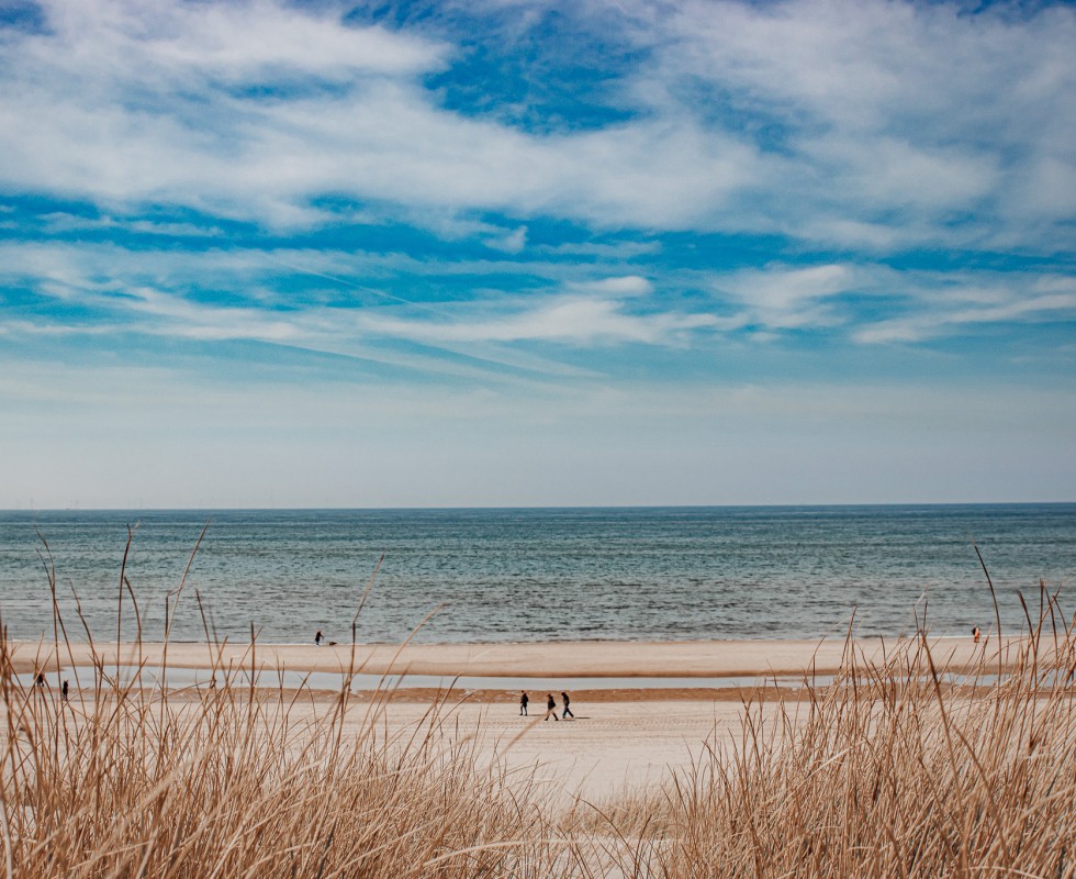 strand_voorjaar.jpg